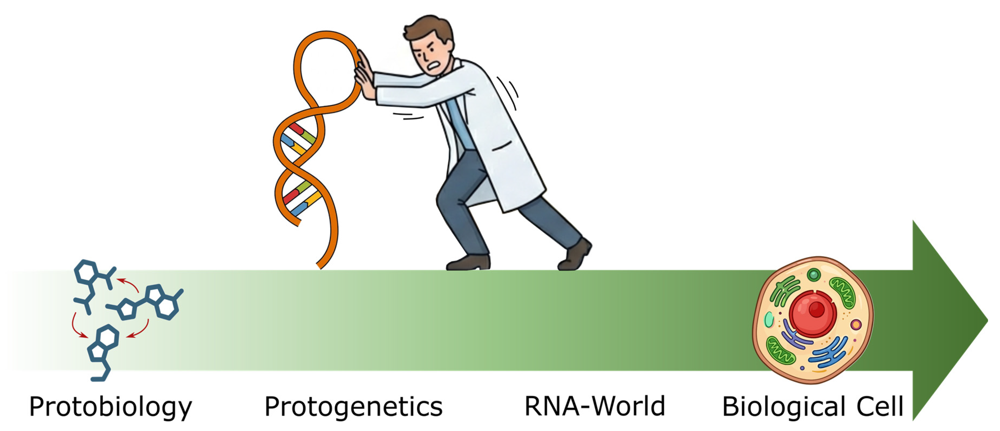 RNA
